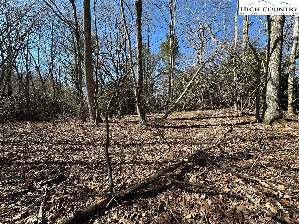 Image number 3 for the current listing