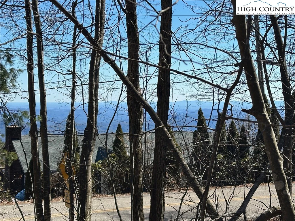 Image number 1 for the current listing
