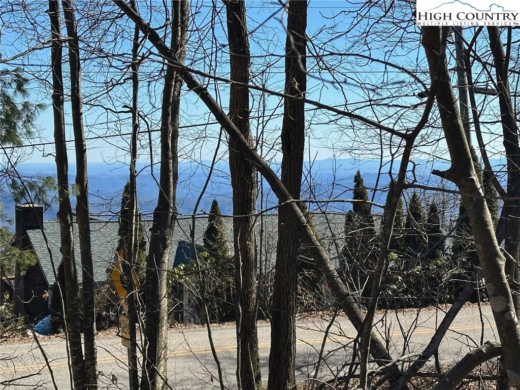 Image number 7 for the current listing