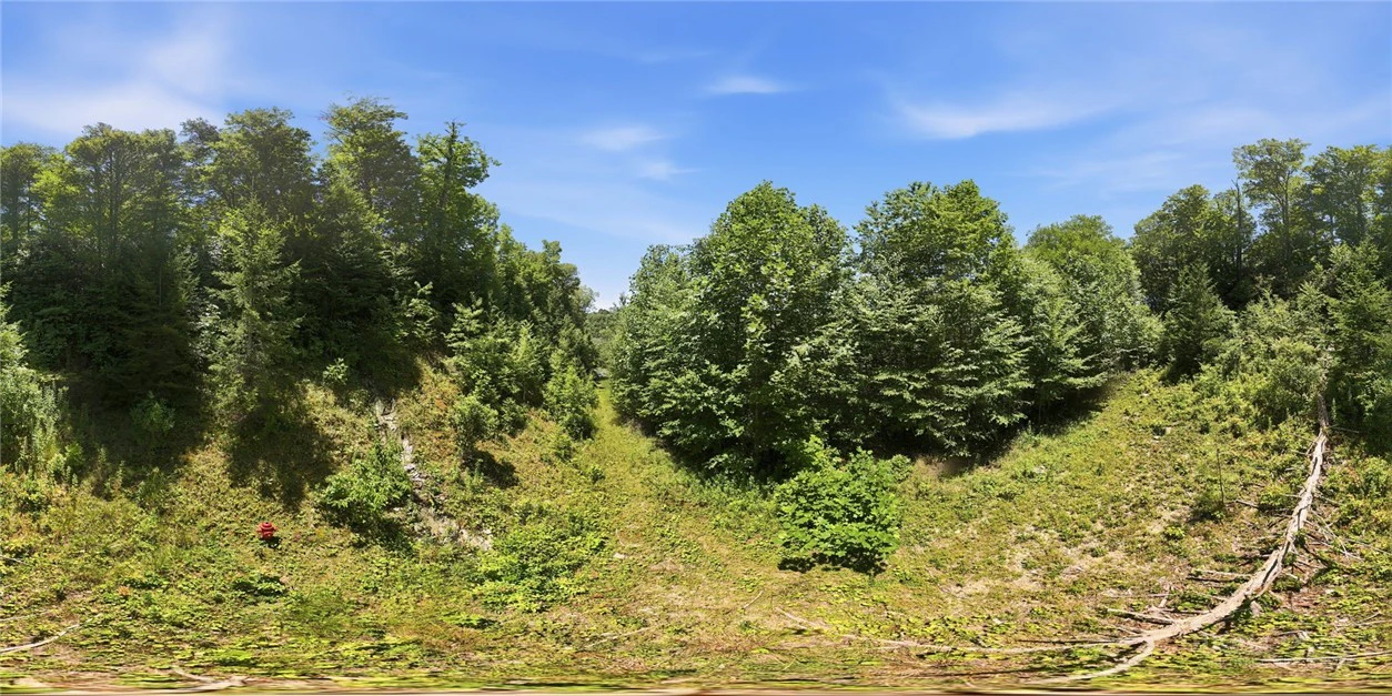 Image number 3 for the current listing