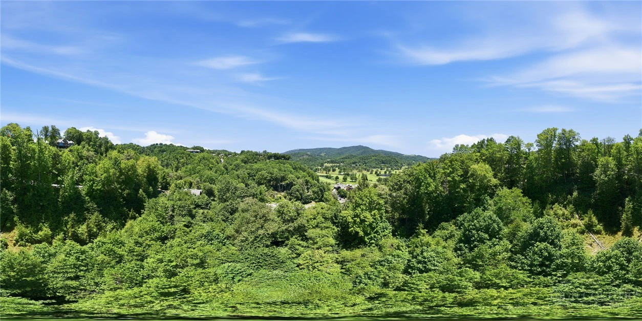 Image number 6 for the current listing