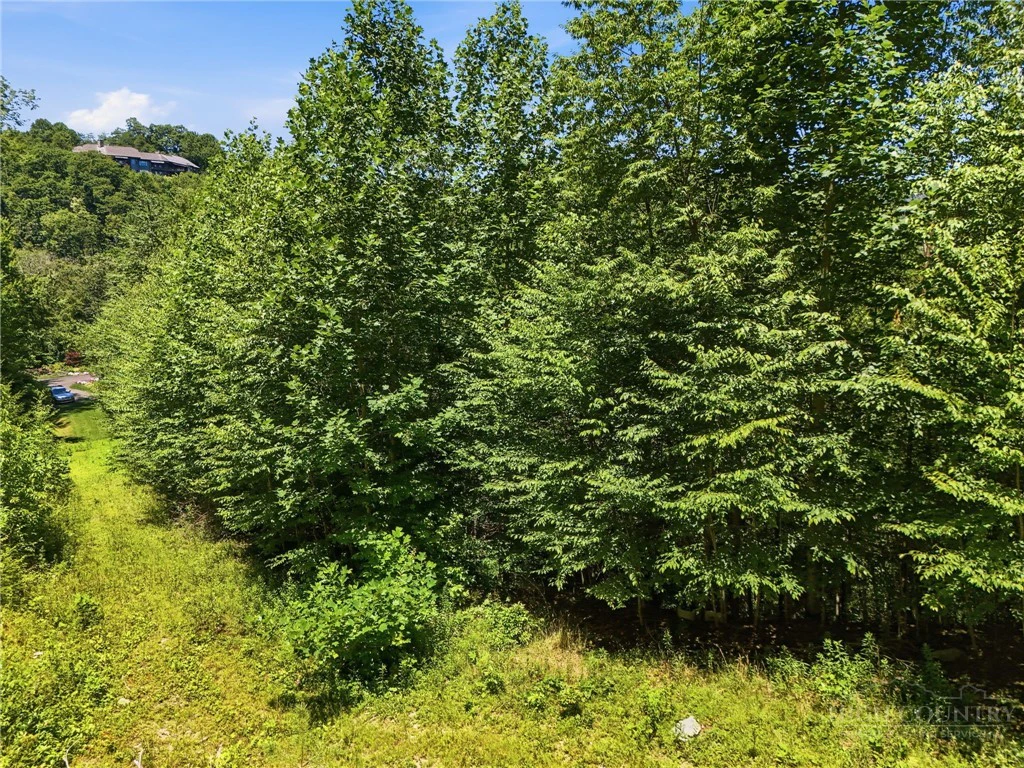 Image number 7 for the current listing