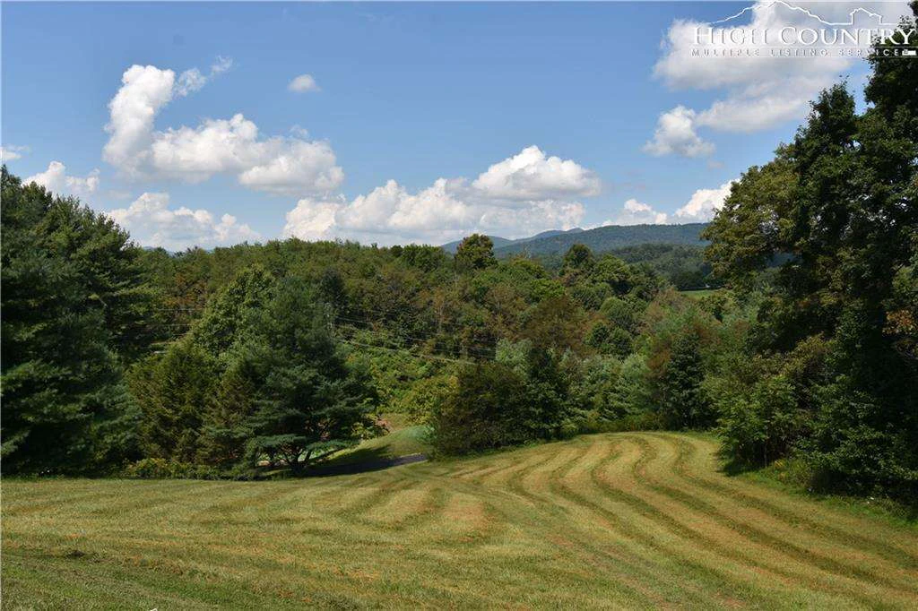 Image number 1 for the current listing