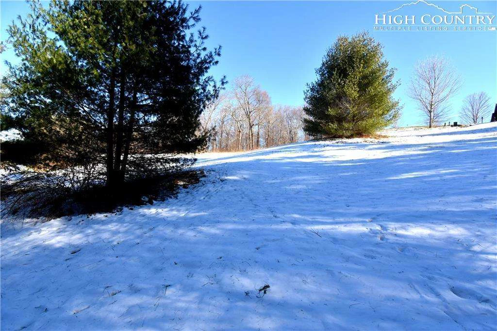 Image number 17 for the current listing