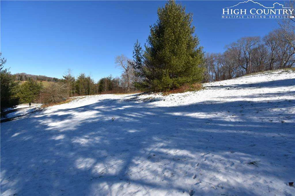 Image number 16 for the current listing