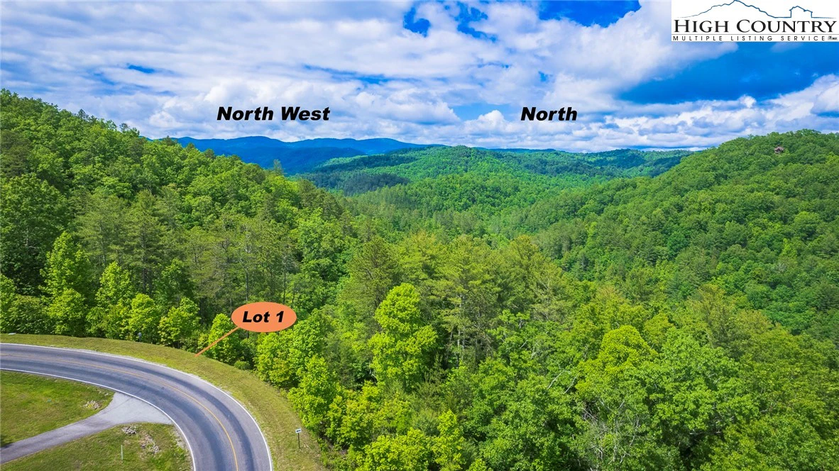 Image number 1 for the current listing