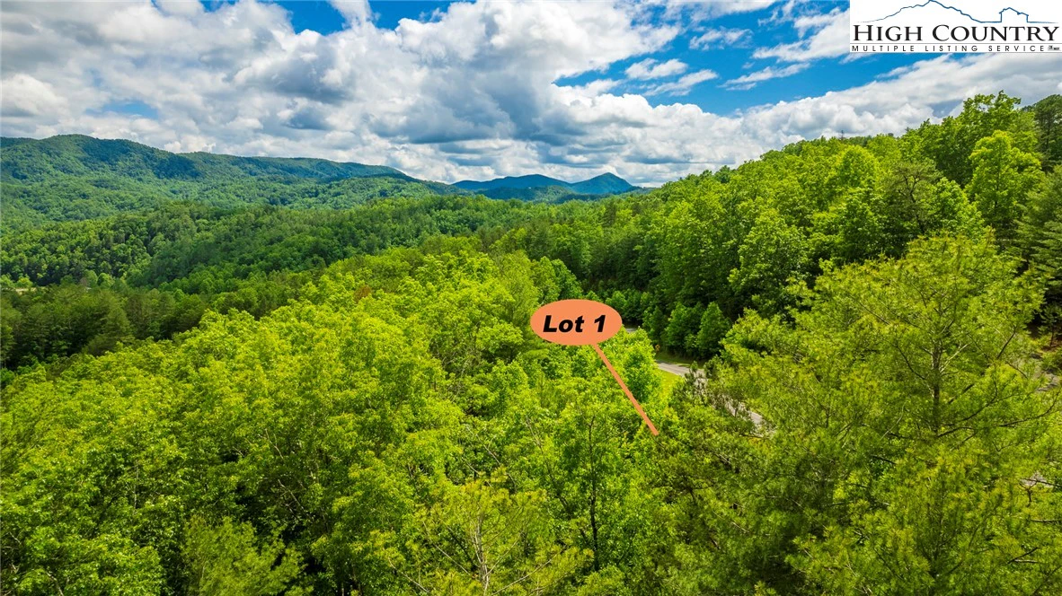 Image number 5 for the current listing