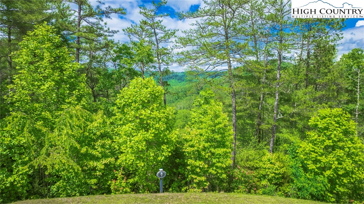 Image number 6 for the current listing
