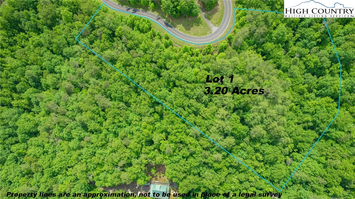 Image number 3 for the current listing