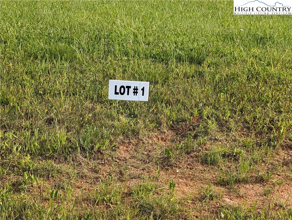 Image number 1 for the current listing