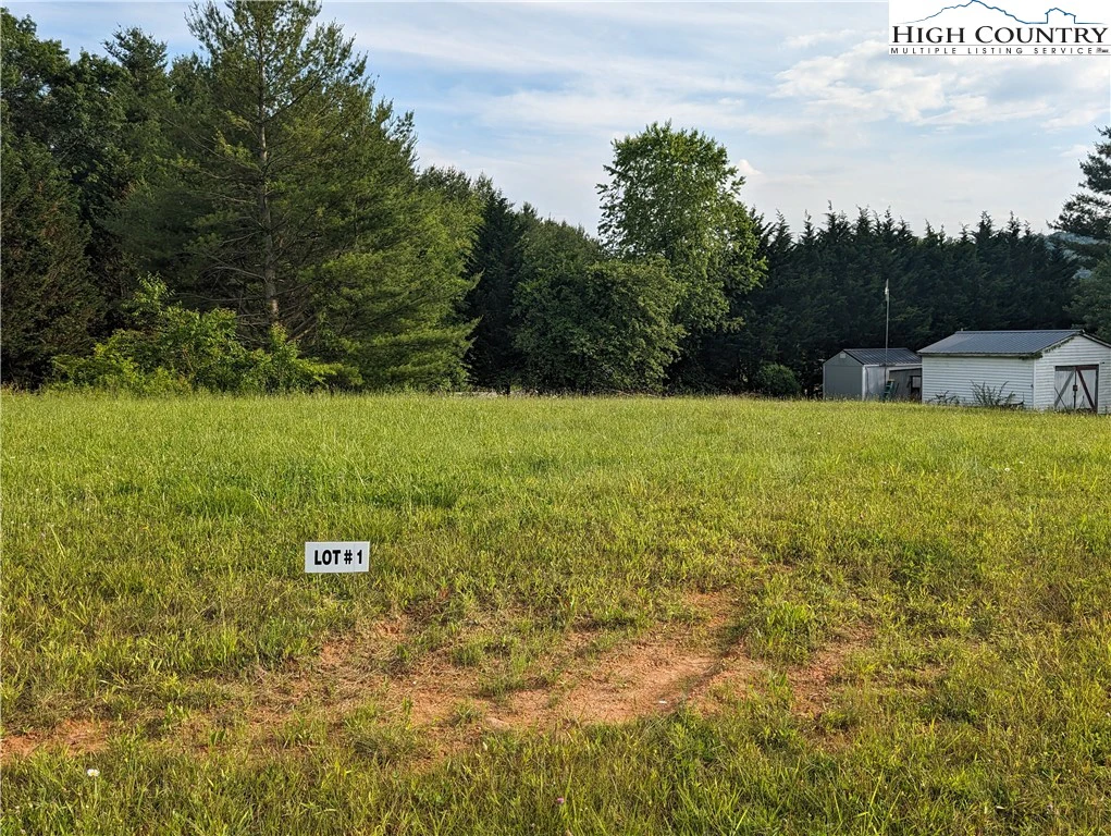 Image number 2 for the current listing