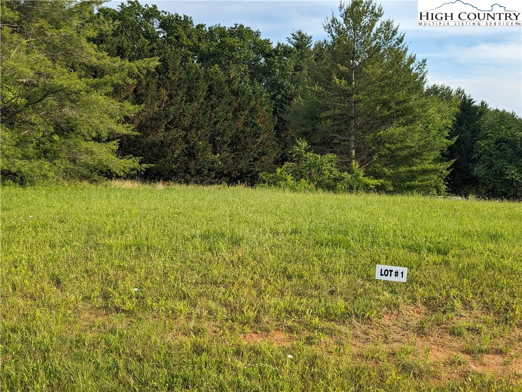 Image number 3 for the current listing