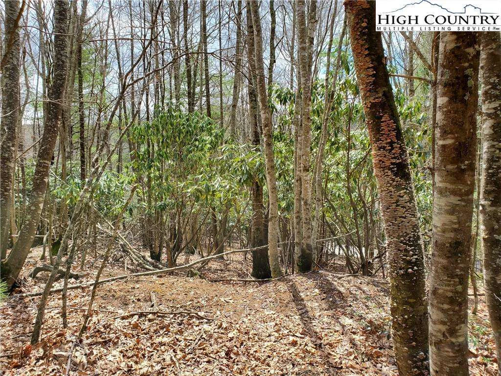Image number 3 for the current listing