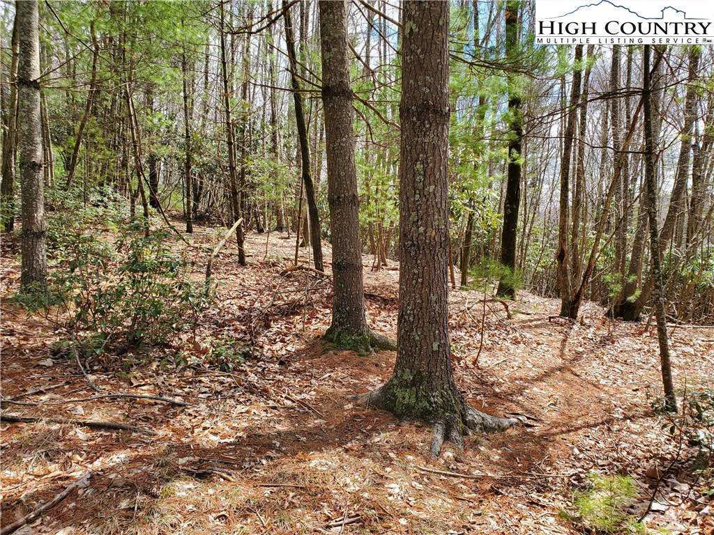 Image number 4 for the current listing