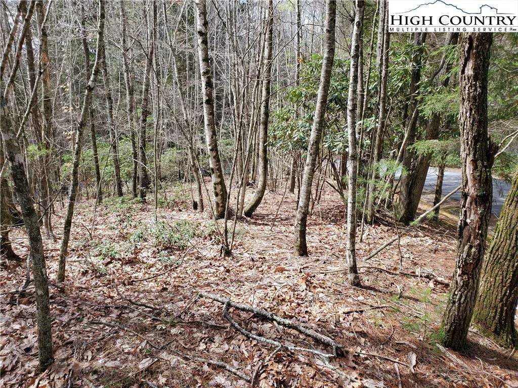Image number 8 for the current listing
