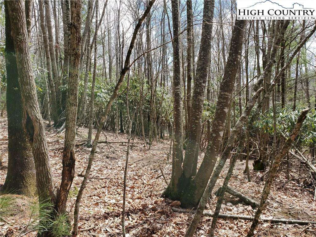 Image number 9 for the current listing