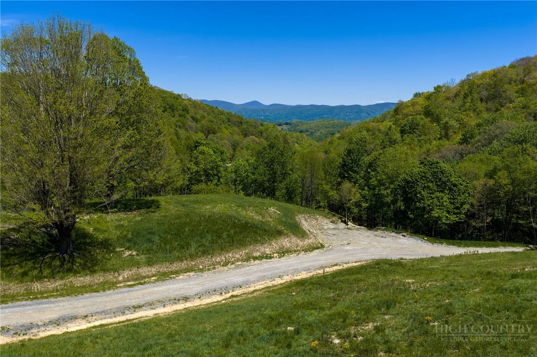 Image number 1 for the current listing