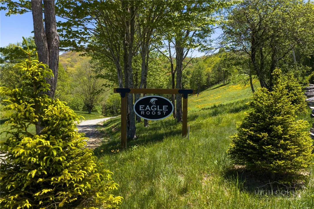 Image number 2 for the current listing