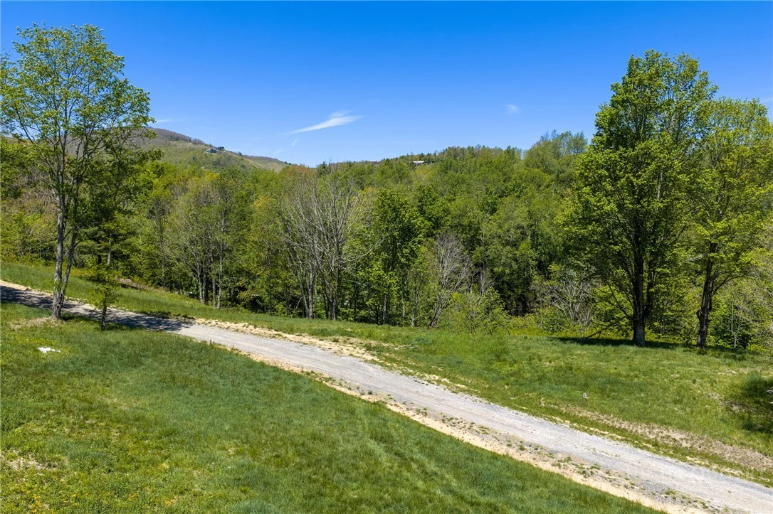 Image number 7 for the current listing