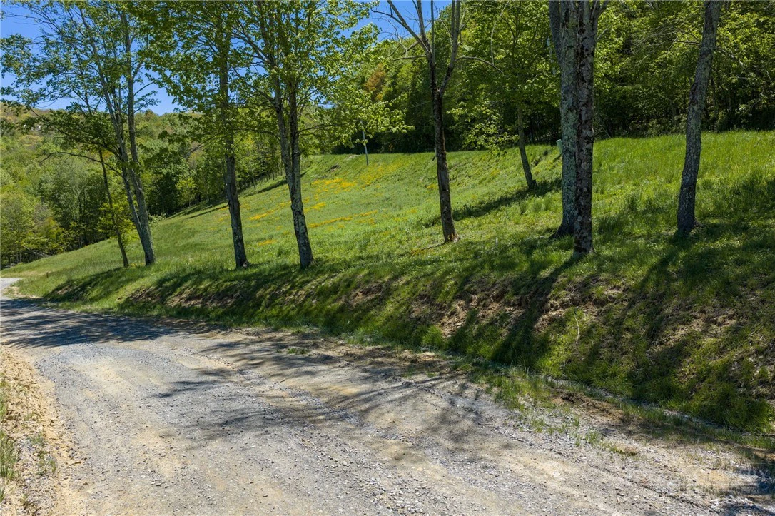 Image number 8 for the current listing