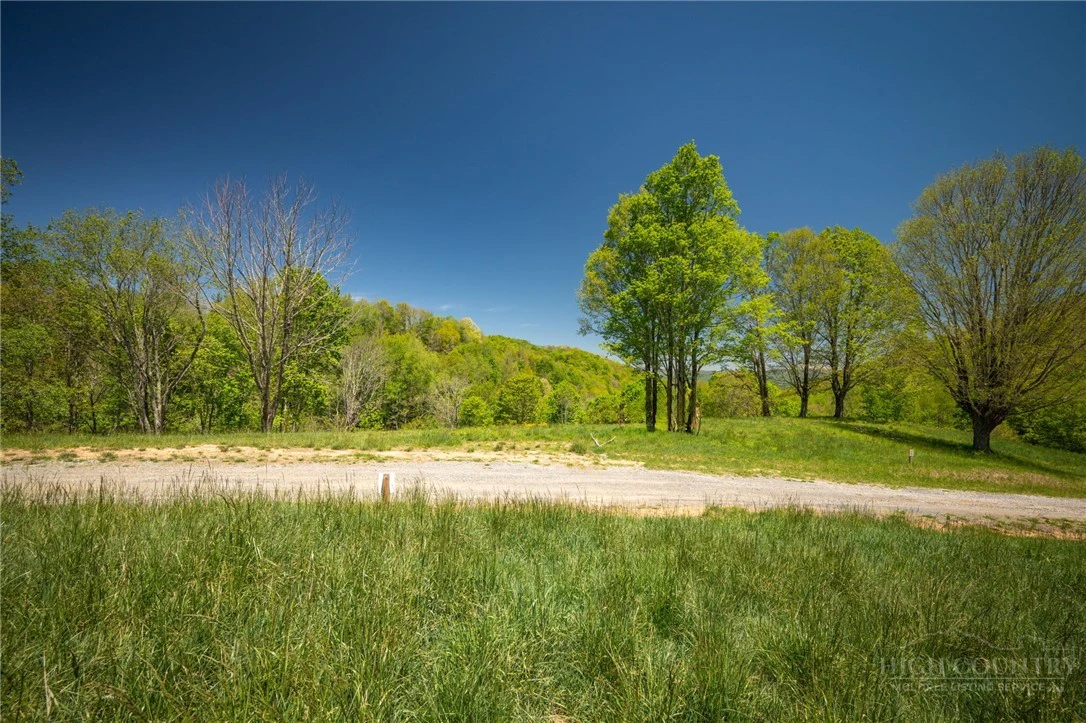 Image number 9 for the current listing