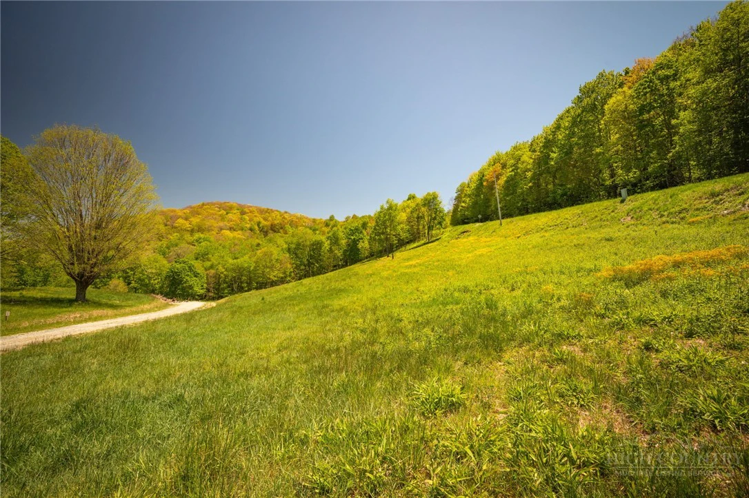 Image number 10 for the current listing