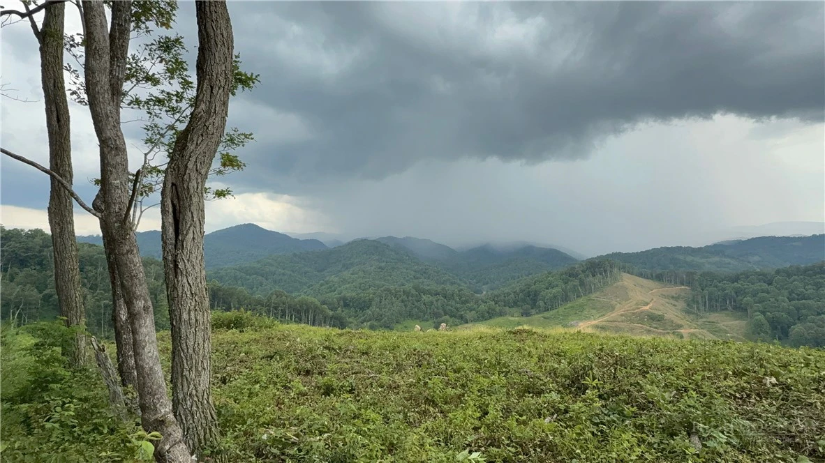 Image number 3 for the current listing