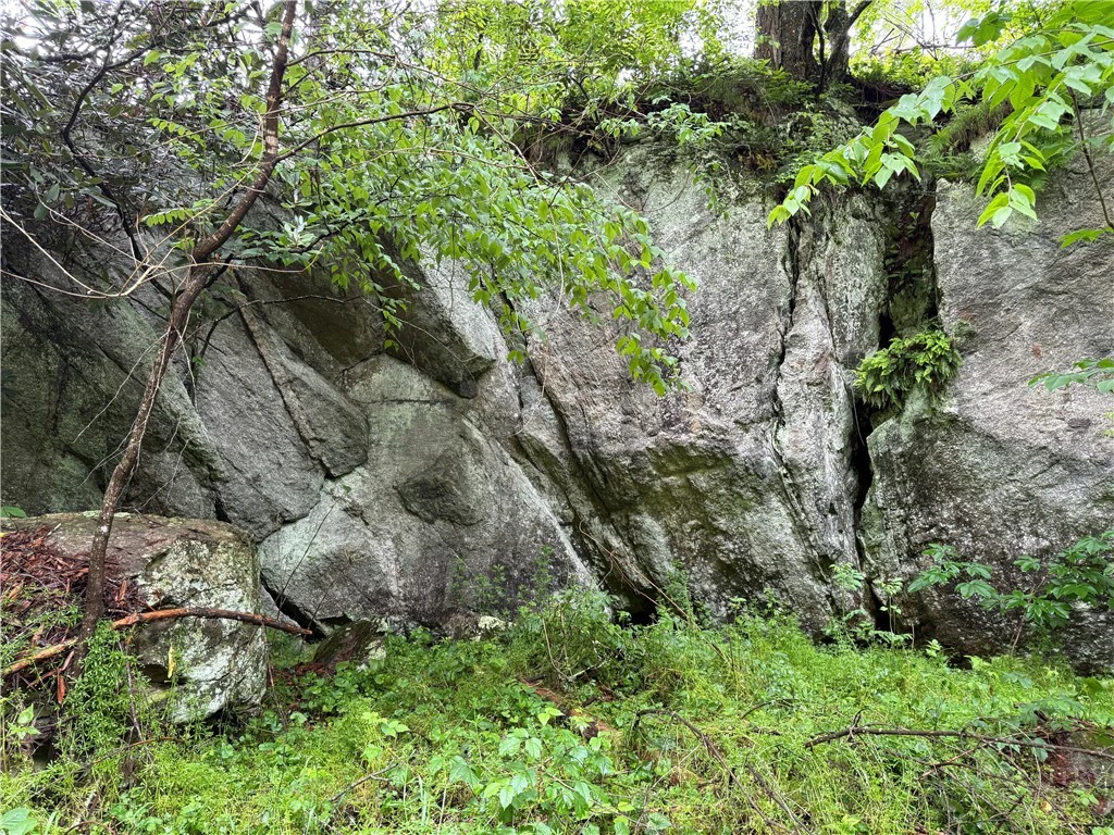 Image number 6 for the current listing
