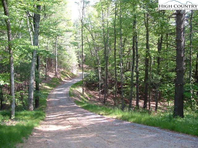 Image number 3 for the current listing