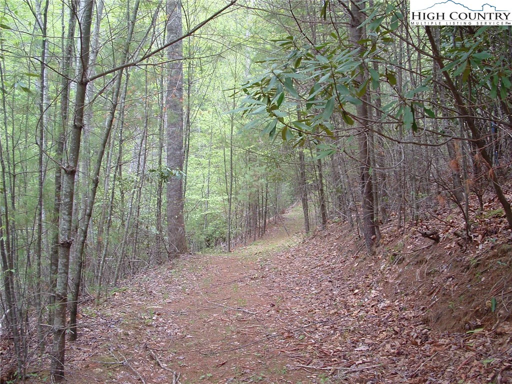 Image number 4 for the current listing