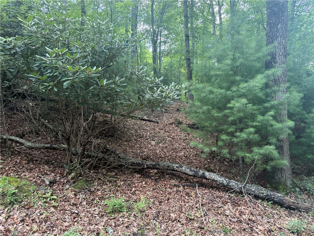 Image number 1 for the current listing