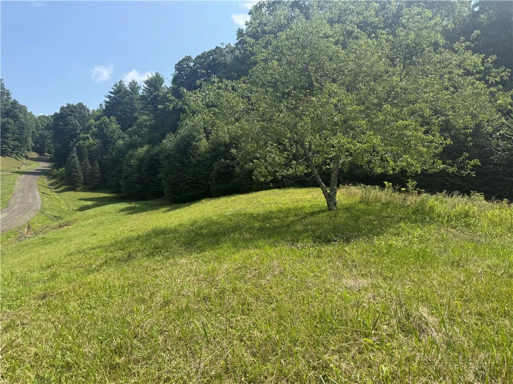 Image number 4 for the current listing