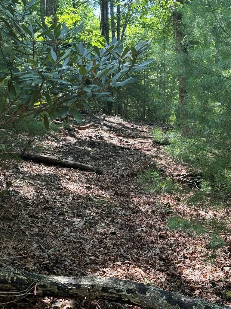 Image number 5 for the current listing