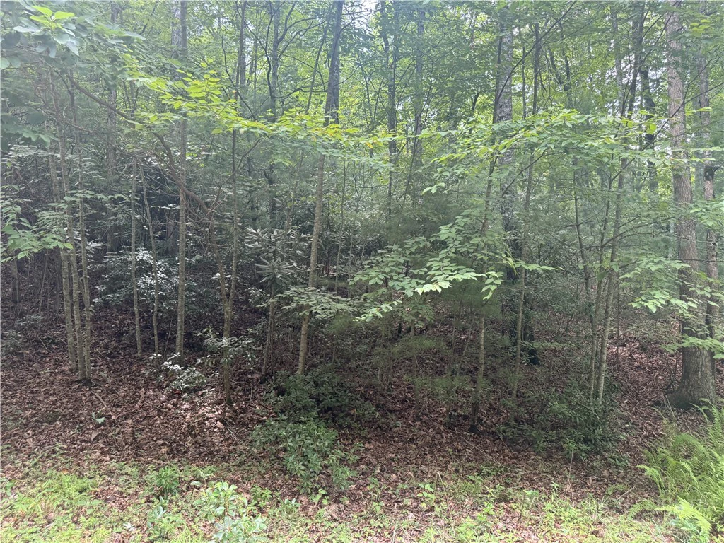 Image number 6 for the current listing