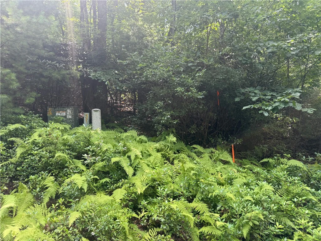 Image number 7 for the current listing