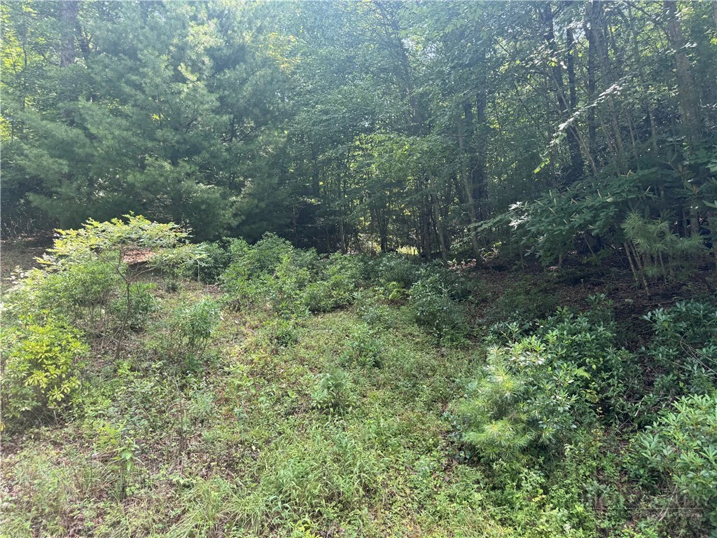 Image number 8 for the current listing