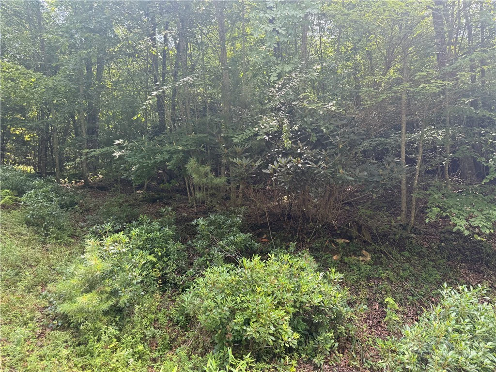 Image number 9 for the current listing