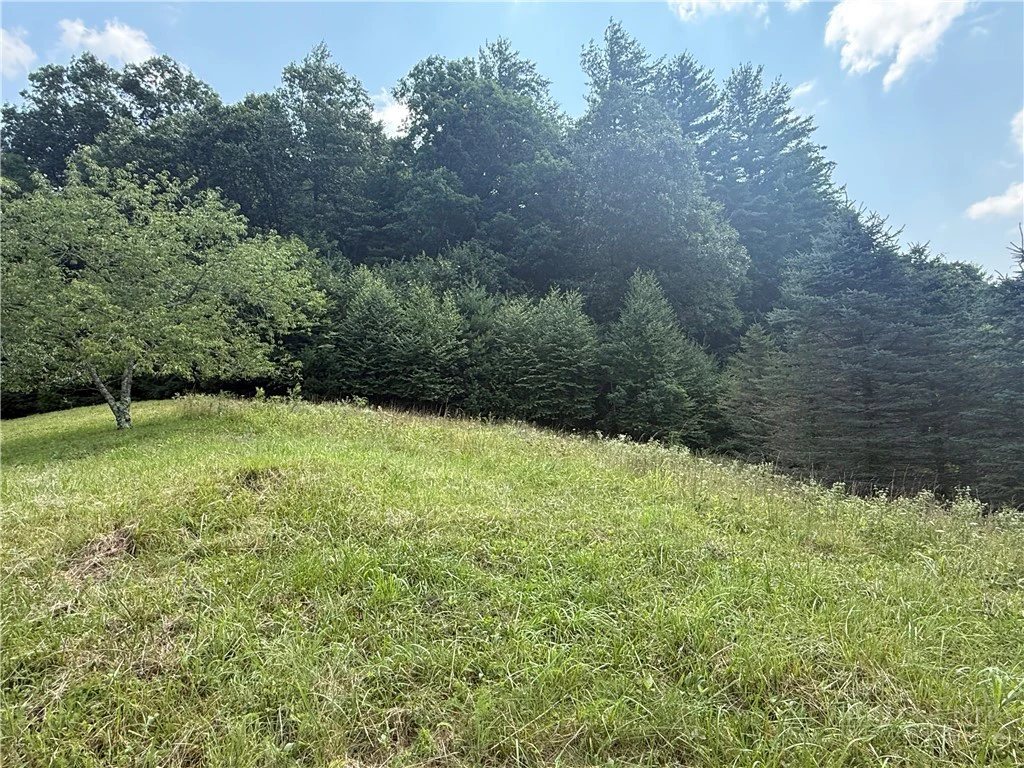 Image number 10 for the current listing