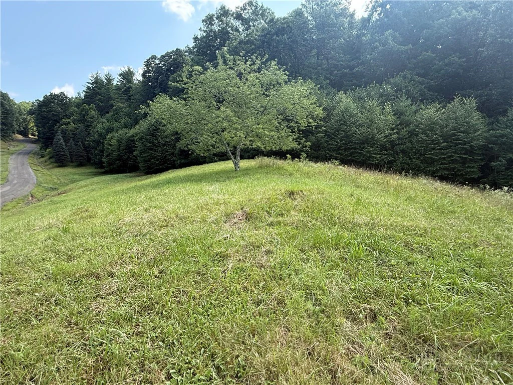 Image number 11 for the current listing