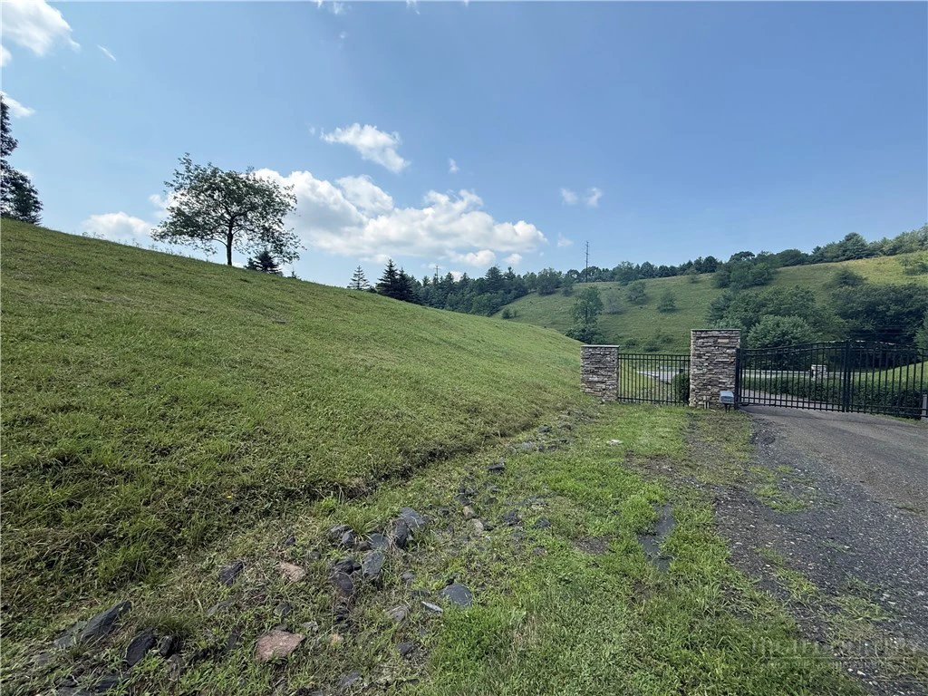 Image number 12 for the current listing