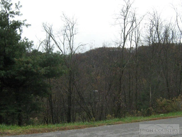 Image number 1 for the current listing