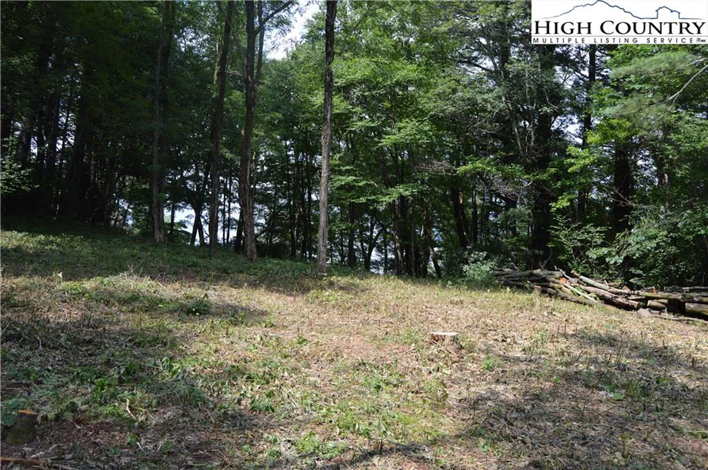Image number 1 for the current listing
