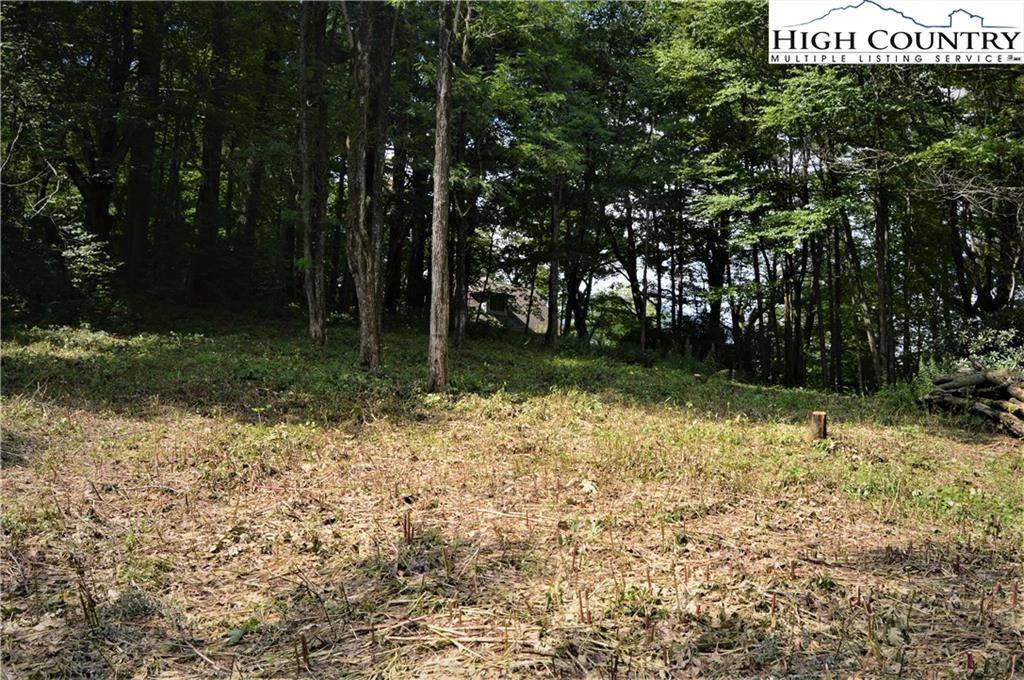 Image number 3 for the current listing