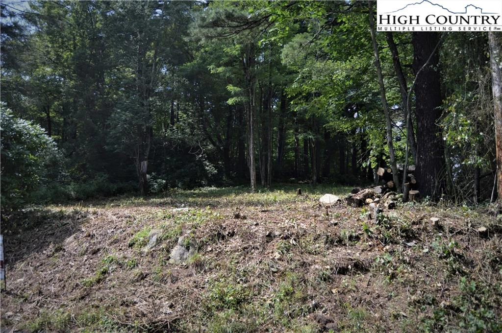 Image number 4 for the current listing