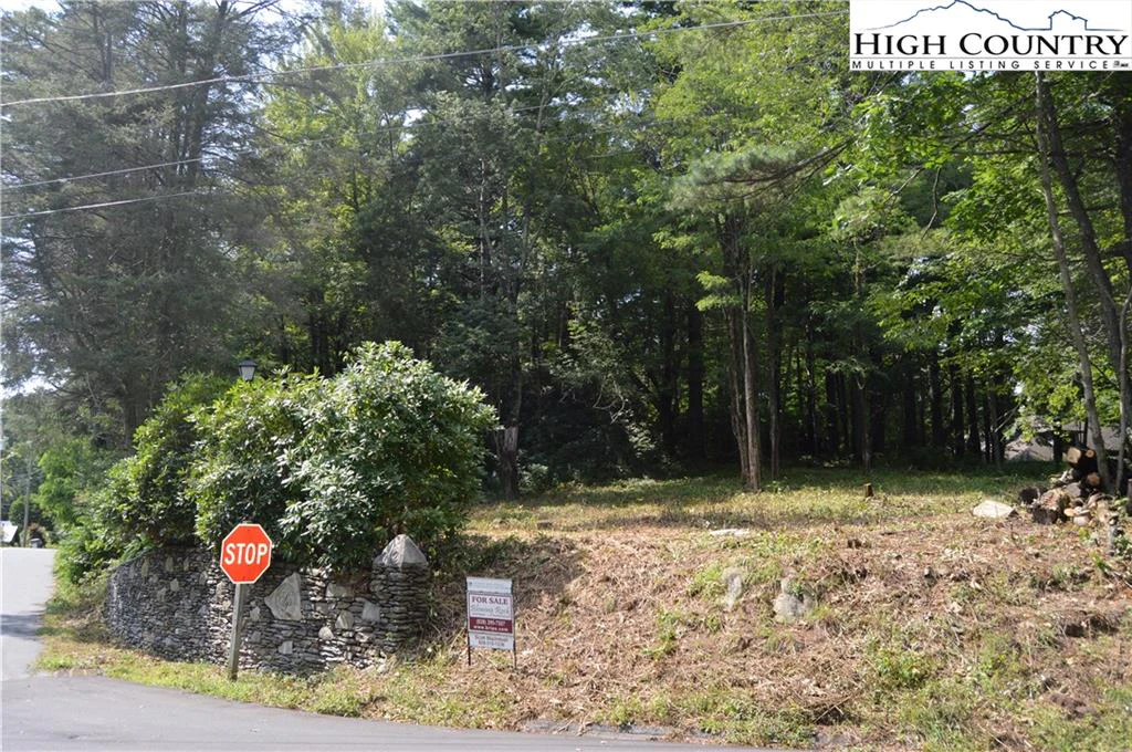 Image number 5 for the current listing