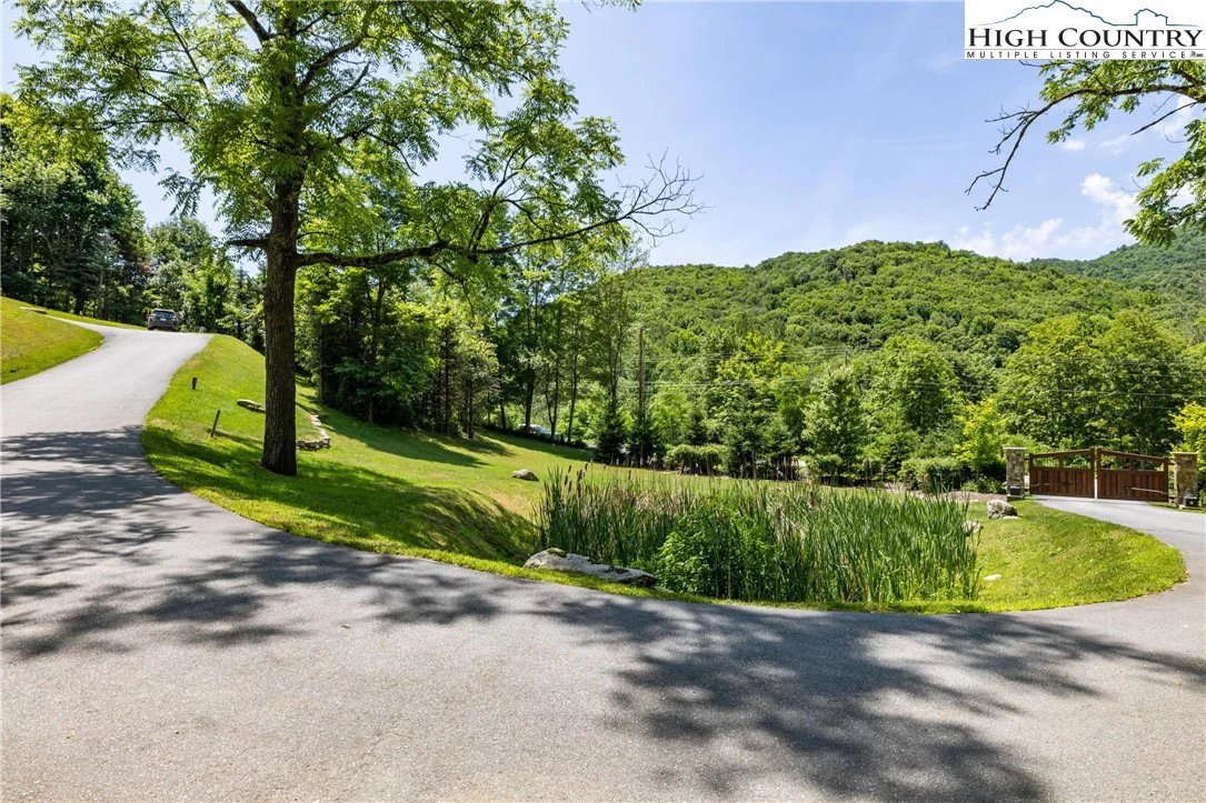 Image number 4 for the current listing