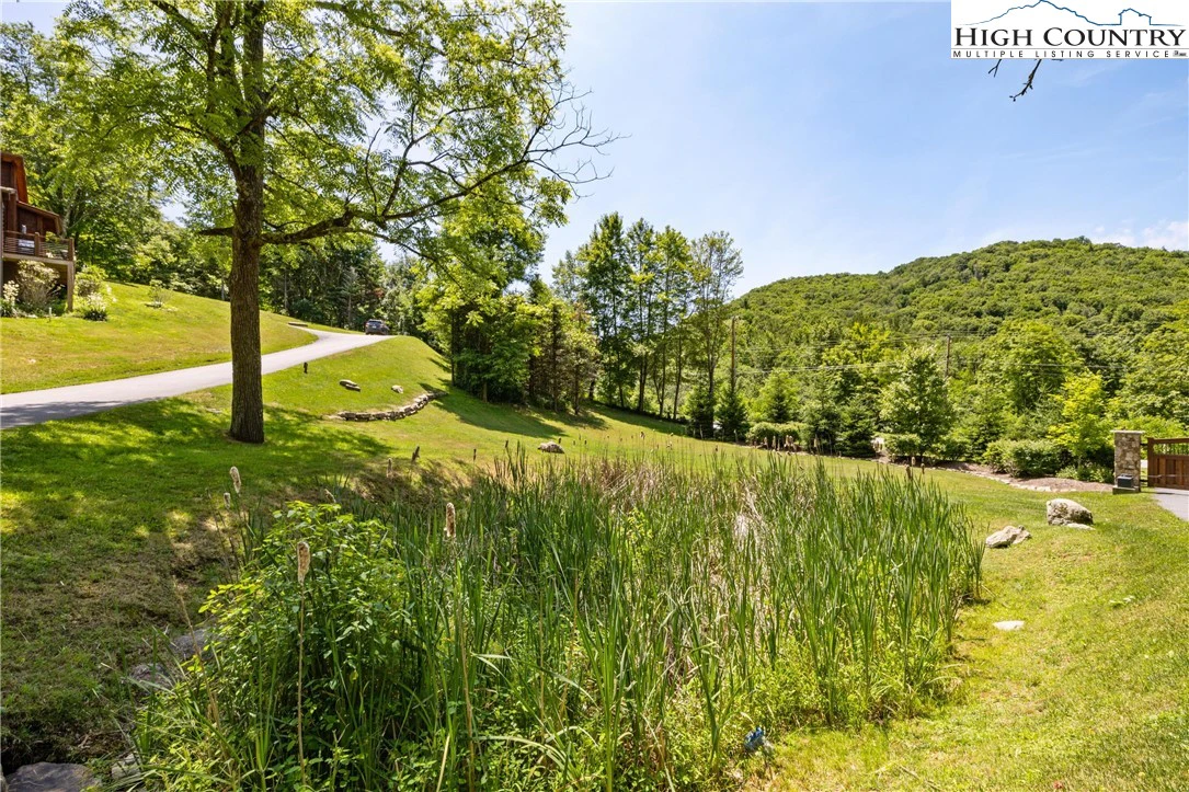 Image number 5 for the current listing