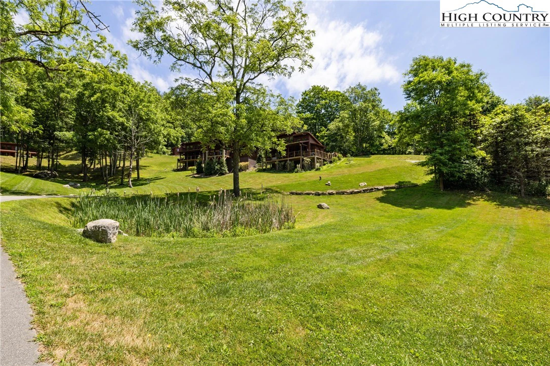 Image number 6 for the current listing