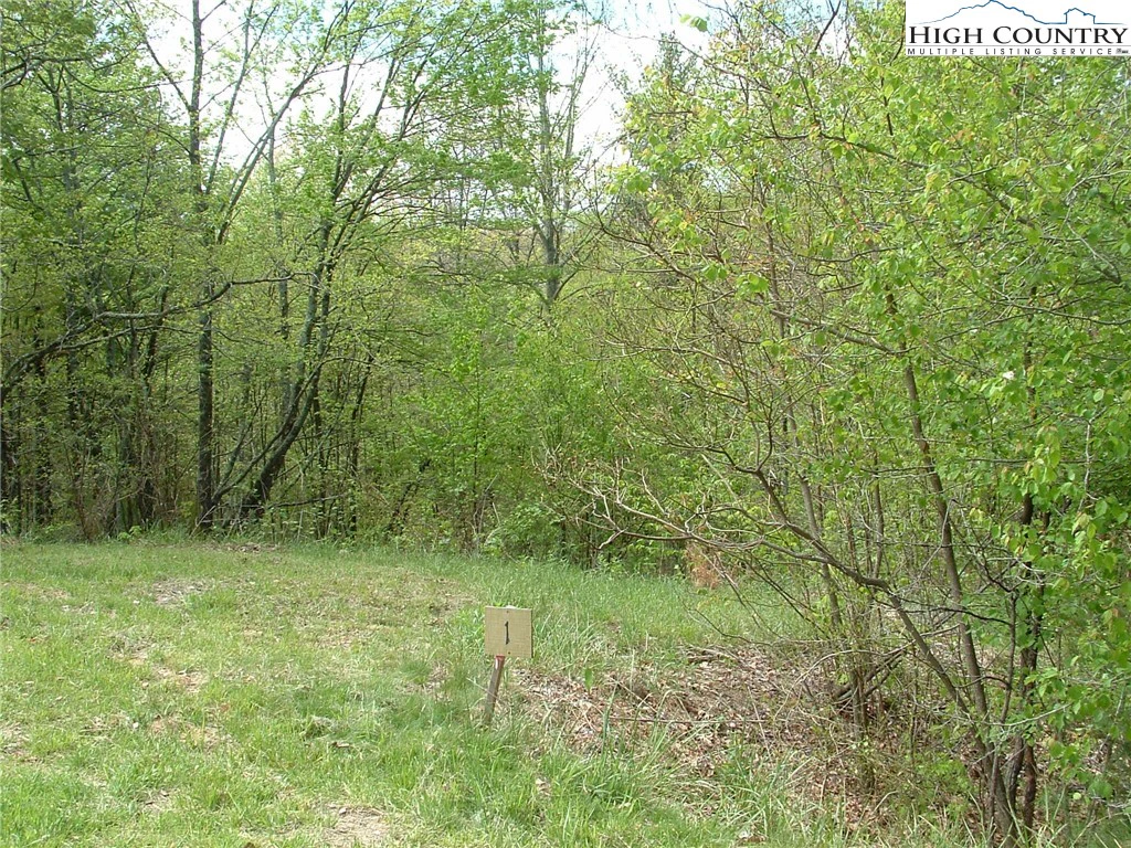 Image number 3 for the current listing