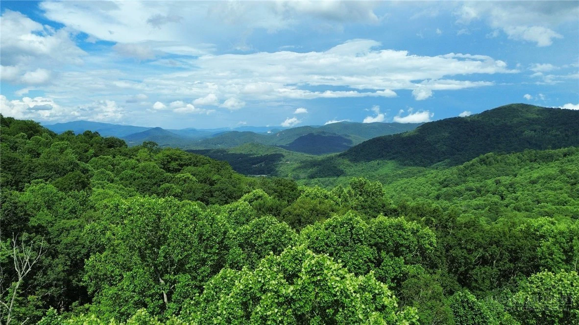 Image number 1 for the current listing